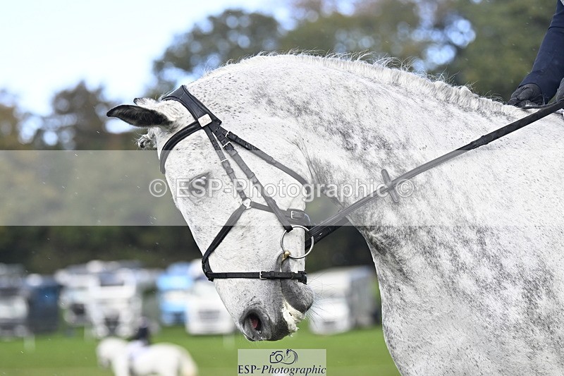 251023A-143923-04371 - D-330-Kathryn.Virjee