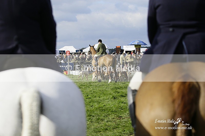 PtP 060322 292 - Blackmore & Sparkford Vale Hunt PtP 06/03/22