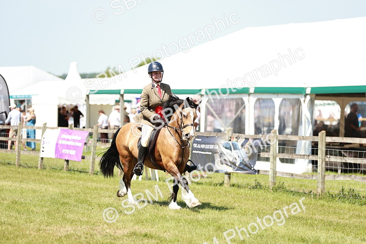 SBM_16431 - Class 110-111 - Training Stakes (70cms 80cms)