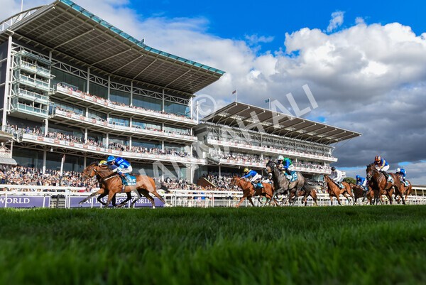 yr19082022r7-33 - Race 7 5.20pm Sky Bet Mile Stakes