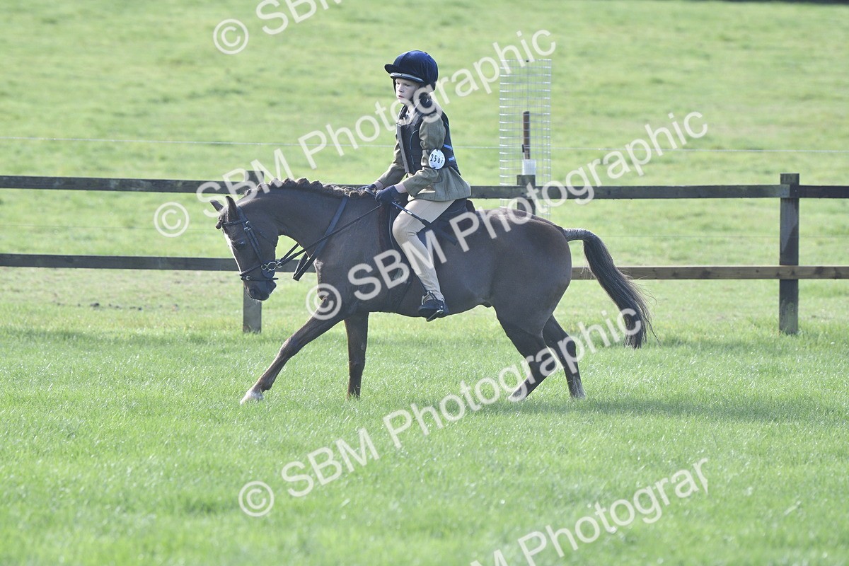 SBM_37223 - S31 - Novice & Newcomer Working Hunter Pony