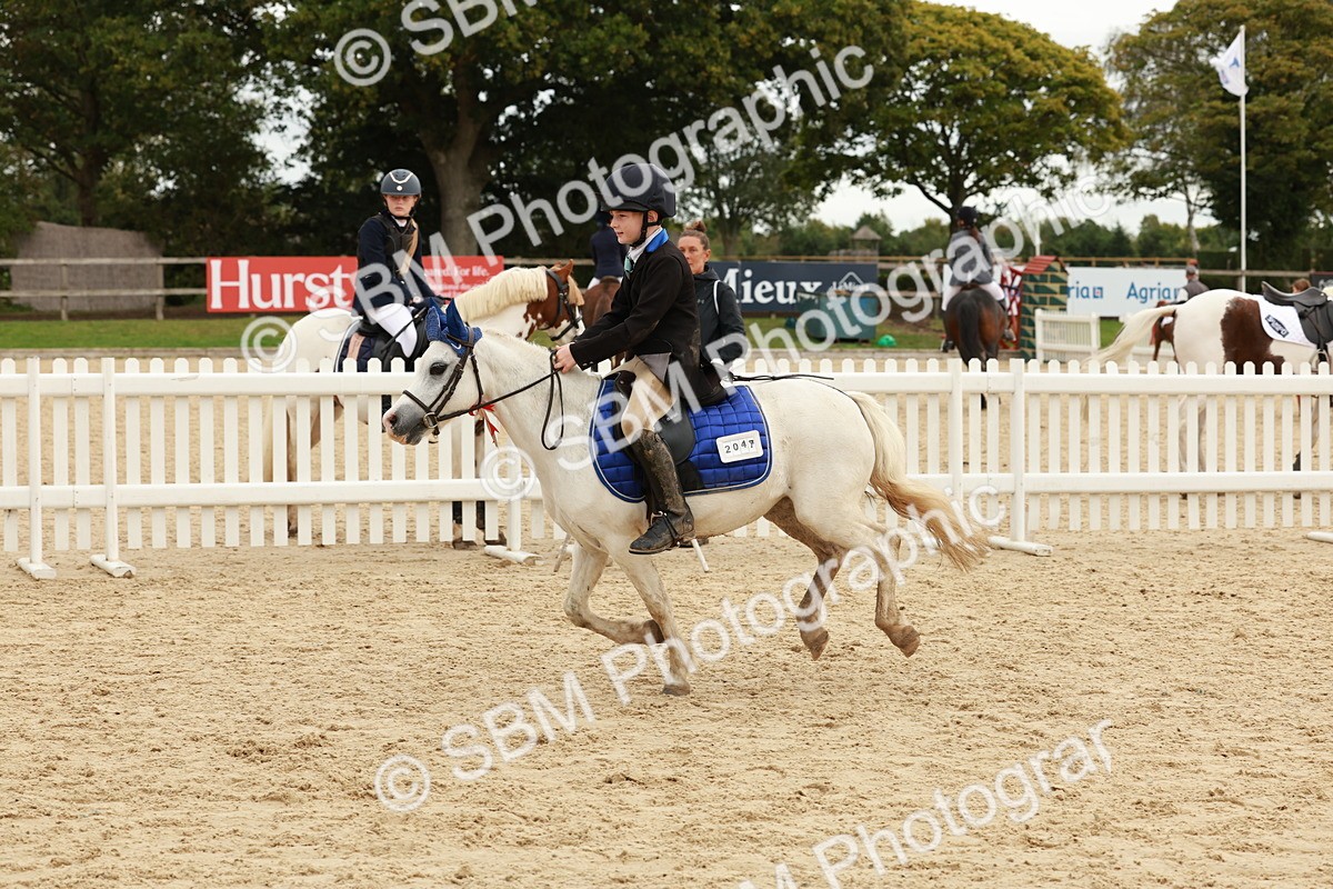 SBM_65373 - Supreme Championship 50cm & 55cm
