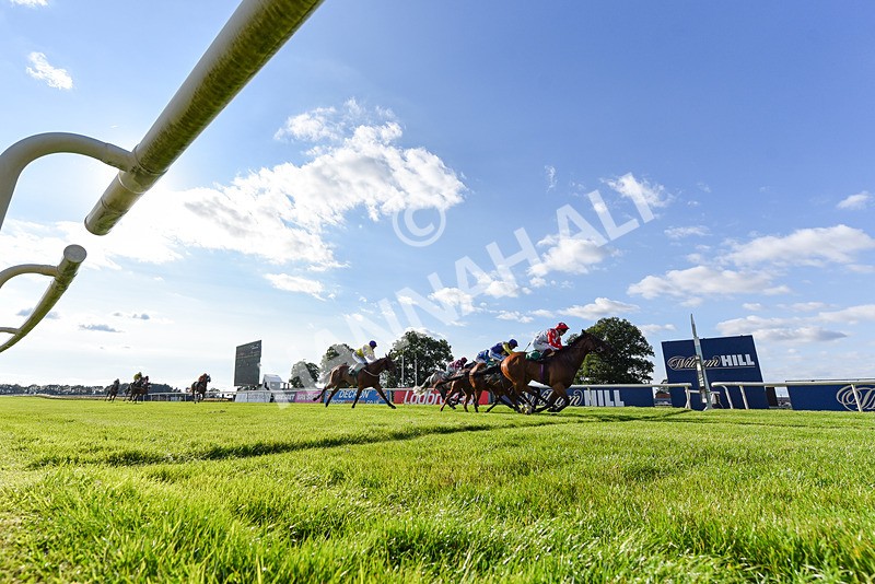 020825-Race 8-Dandy Dinmont-8308 - Race 8
