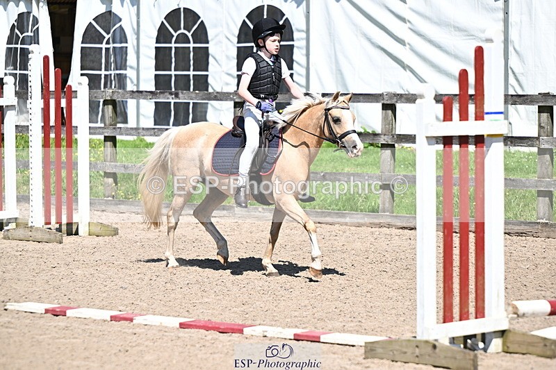 240729B-114322-02510 - Showjumping Competition