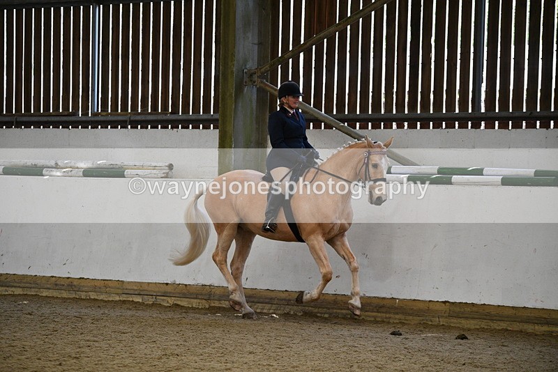 WJ5_5978 - Class 9 Ridden Veteran