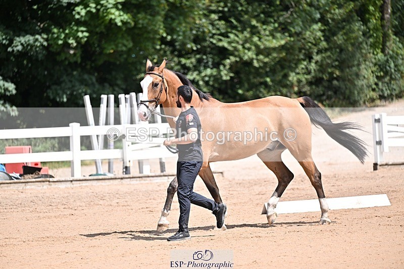 250716-125006-00193 - Trot Up 12.30 to 1.30