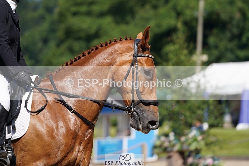 240719-102856-00576 - 204-Alana_Shapland-Forever_autumn_DS