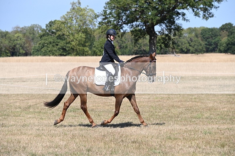 WJ6_8774 - Class 38 Ridden Riding Horse/Pony