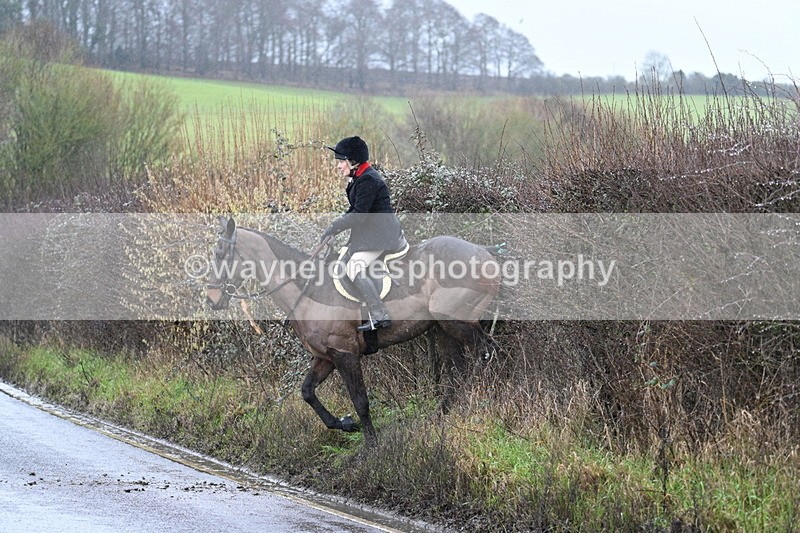 WJ7_7049 - Crossing A Camera