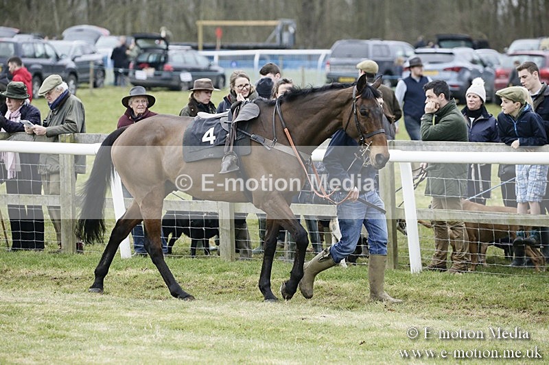 PtP 110318 16 - Hampshire Hunt Point-to-Point Hackwood Park 11/03/18