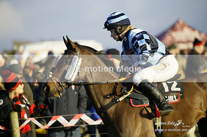 PtP 300122 698 - South Dorset Hunt - Point-to-Point Races 30/01/2022