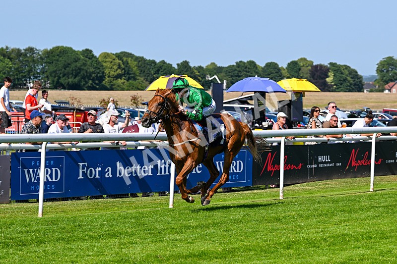 230626-Race 5-Percys Daydream-1487 - Race 5 16.17pm Humberside Airport Handicap