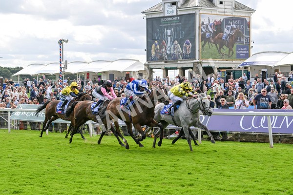 230824-Race 1-Shadow Dance-8716 - Race 1 1.50pm Sky Bet Handicap