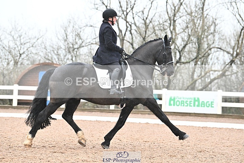 250215-103309-03046 - 244-Suzanne.Clark-Ballinamurra.Billy