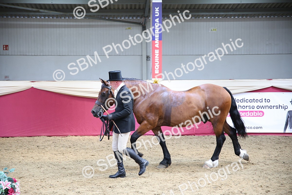 SBM_24733 - Class 906 - Supreme Final - Ridden Pre Vet