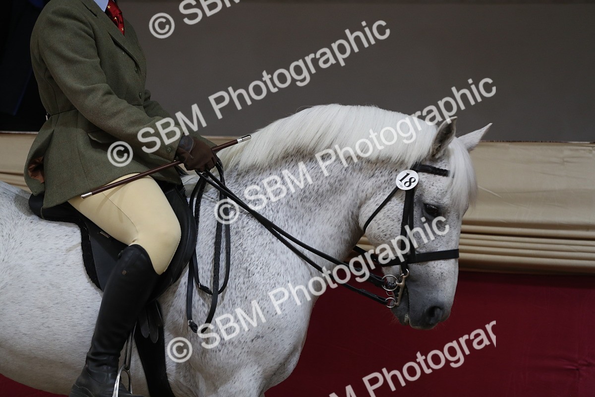 SBM_02841 - Class 6a Area Ridden Pre Vet