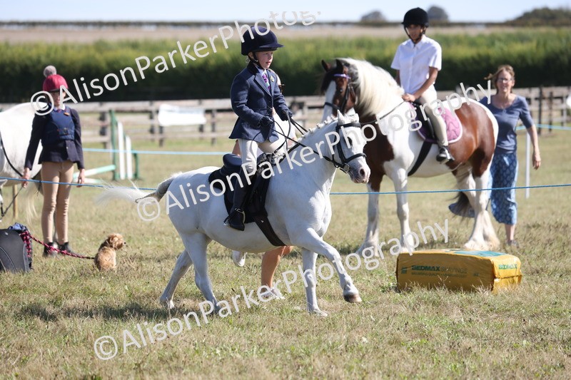 20260906-2217 - Class 16 - Family Pony