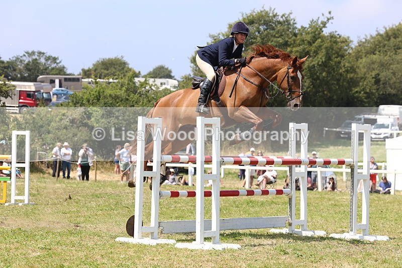 3E7A3360 - Class 10: Senior Foxhunter/1.20 open