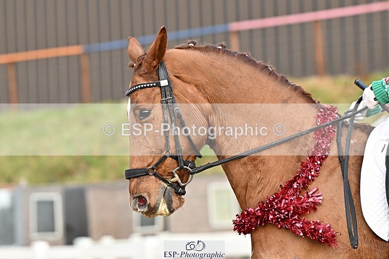 241214-150620-03101 - 137-Tyler.Bradshaw-Gijsbert