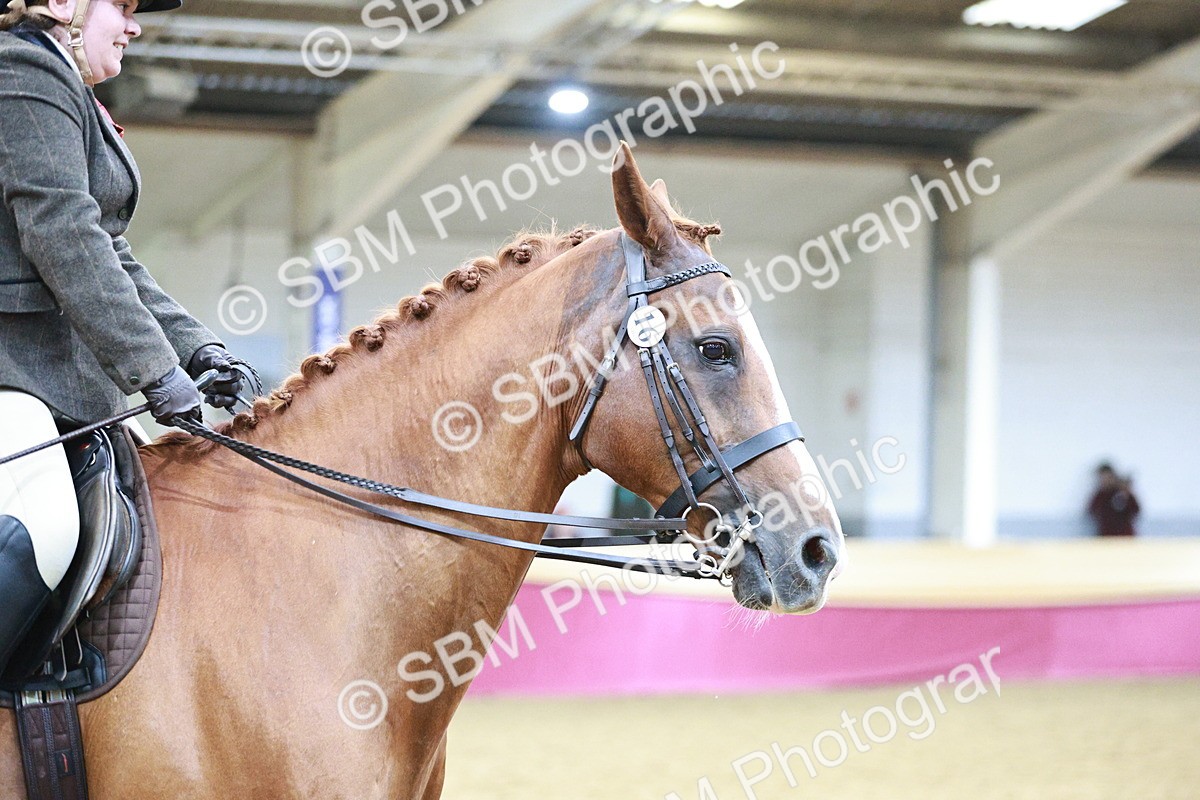 SBM_08996 - Class 12R - Regional Ridden Pre-Vet