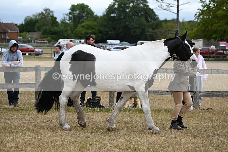 WJ6_8368 - Class 10 Coloured in Hand