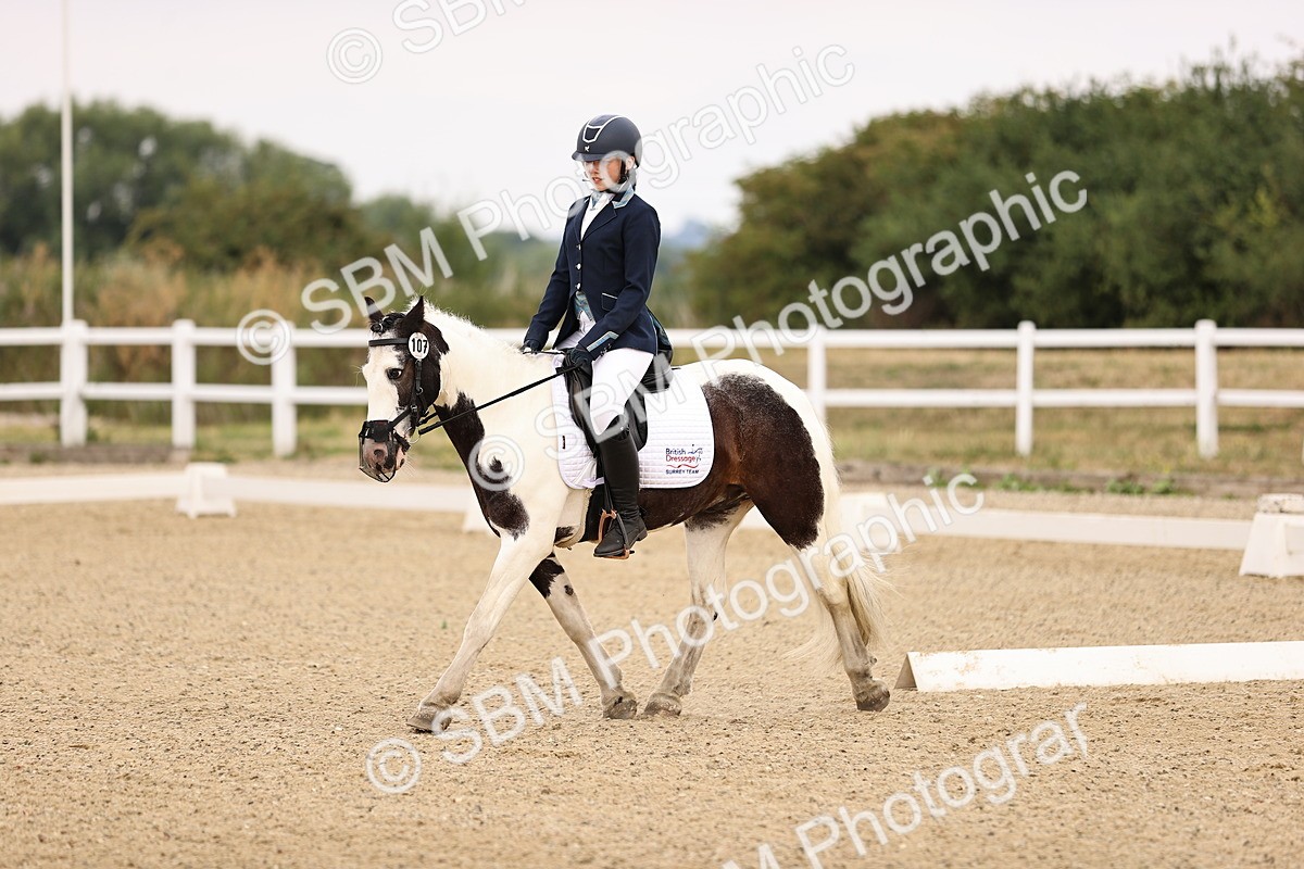 SBM_005223 - Intro 3 - 8.30-9.30