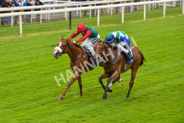 140723-Race 1-Northern Express-8093 - Race 1 2.05pm William Hill Epic Value Handicap