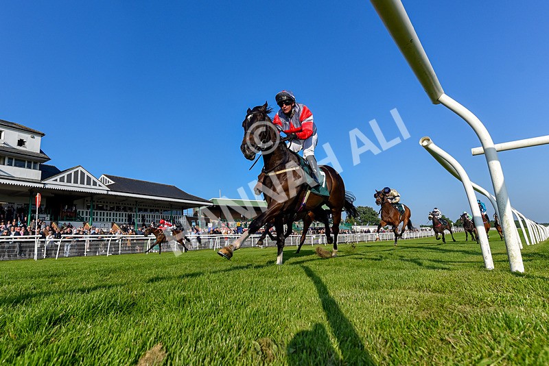 310524-Race 2-Dandy Fitz-7468 - Race 2