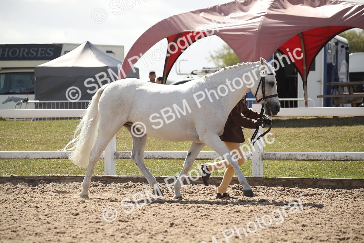 SBM_23522_Class 605 - 2026 - Area - IH Veteran - Vicky Gutteridge