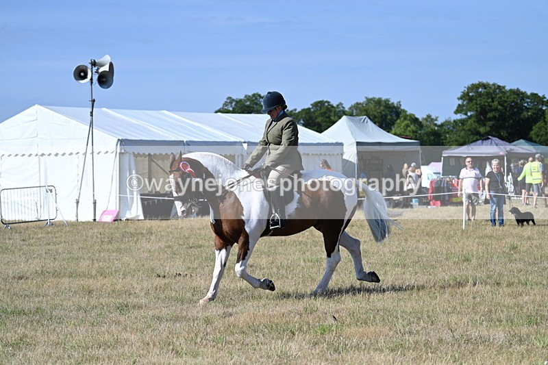 WJ7_3283 - Class 8 Ridden Tack & Turnout