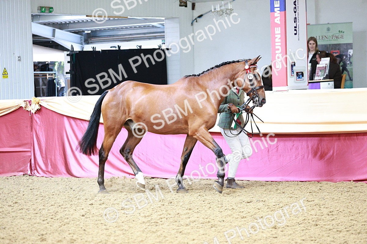 SBM_01391 - Class 3A - Area IH Pre-Vet