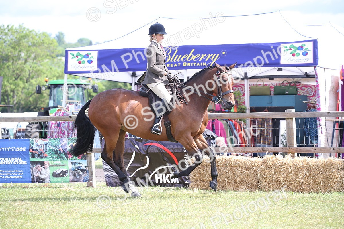 SBM_13210 - Class 95-96 - LIHS BSHA Rising Star Hack Riding Horse