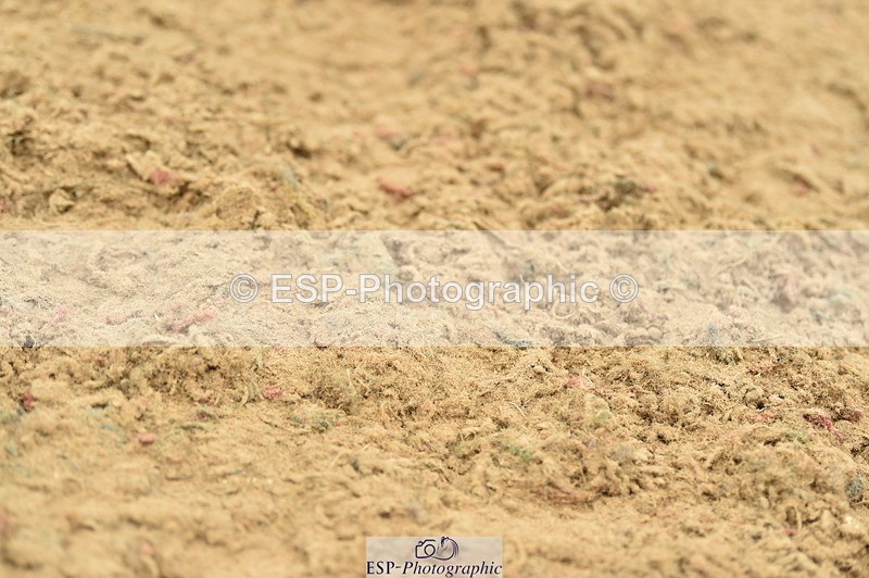 230720A-145608-03394 - Cls 17, 1 Star Silver 1.20m