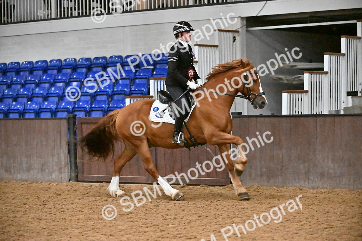 SBM_003070 - Class 37,38 - UKPSAF Performance Horse & Pony