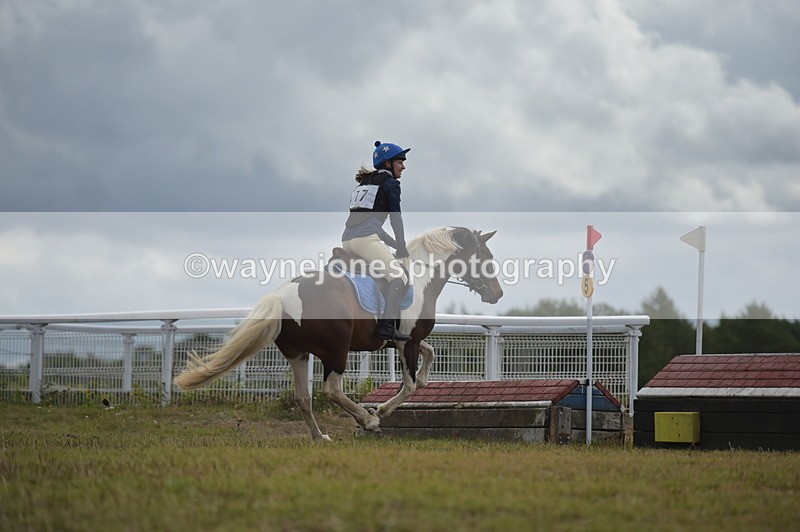 NGP_1337 - XC Time 10:38 to 10:51