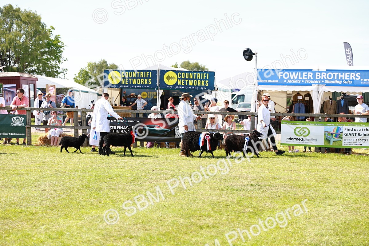 SBM_08289 - Grand Parade