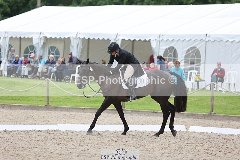 240524-170917-11230 - 376-STORM_BLUE_CURTIS-Phoebe_Buckley