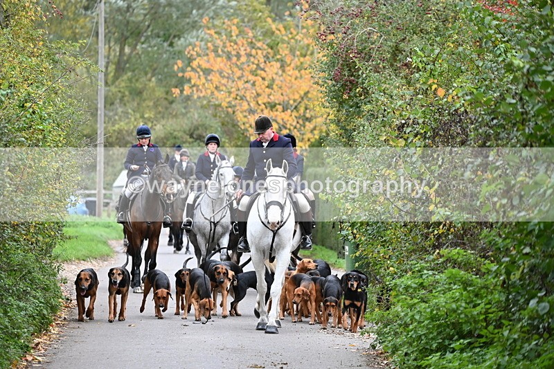 WJ6_8325 - Walk Home..