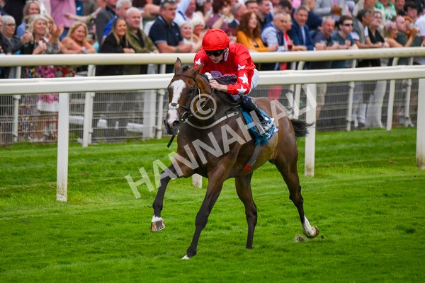 280723-Race 6-Spirit Dancer-0657 - Race 6 7.50pm Sky Bet Extra Places Every Day Handicap