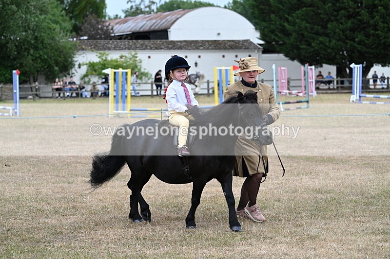 WJ7_8508 - Class 4 Prettiest Mare up to 14.2hh