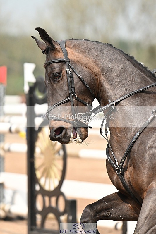 250424-123509-04379 - Cls 21 - 1 Star Gold Tour