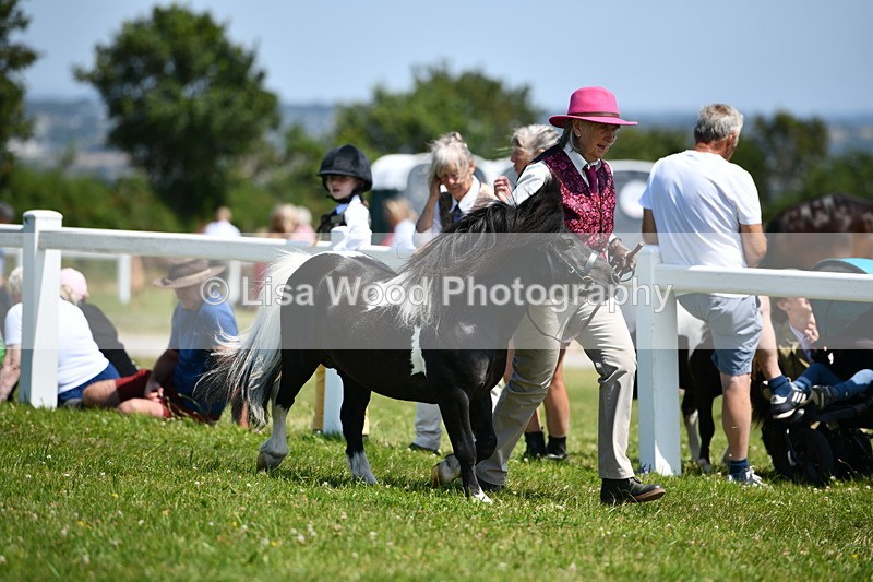 DSC_7605 - Class 64: Coloured Pony 4yrs & over