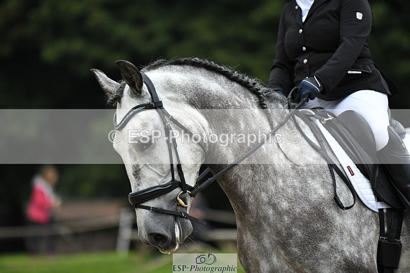 230812-101502-02932 - Cls 6 Novice Silver Start to 10.20 break