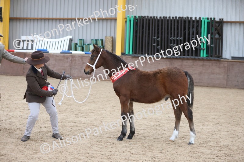 20251109-1181 - Championship