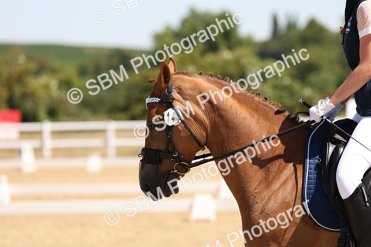SBM_001229 - Intro 2