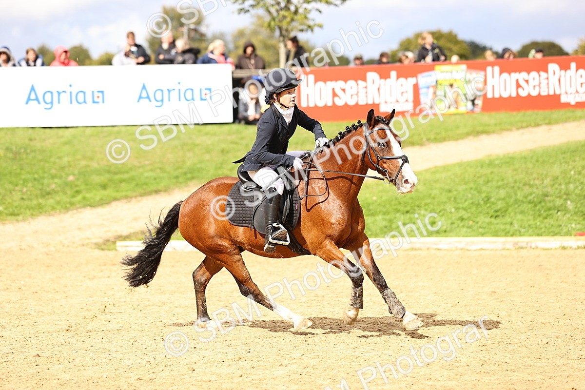 SBM_46227 - J9 - Junior Pony 70cm Championship