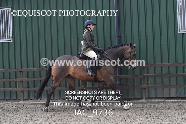 JAC_9736 - CLASS 2 Novice Working Hunter (0.60m - 0.70m)