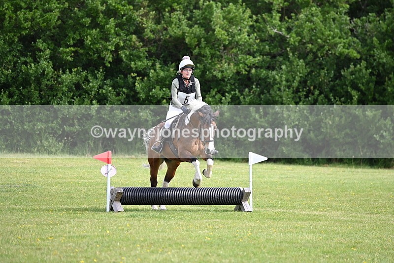 WJ6_2308 - Class 2 40cm