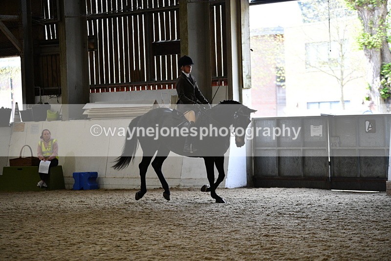 WJ5_6198 - Class 9 Ridden Veteran