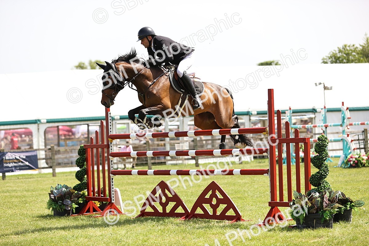 SBM_04034 - Class 201 - British Horse Feedds Speedi Beet HOYS Grade C